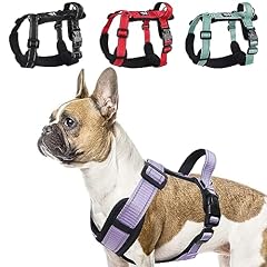 Liebedd geschirr hund gebraucht kaufen  Wird an jeden Ort in Deutschland