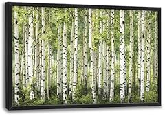 Extra large birch for sale  Delivered anywhere in USA 
