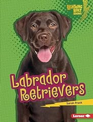 Labrador retrievers for sale  Delivered anywhere in USA 