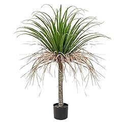 Hollyone yucca artificiel d'occasion  Livré partout en France