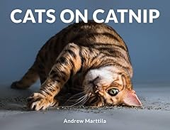 Cats catnip for sale  Delivered anywhere in USA 