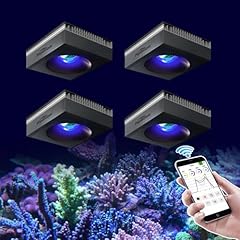 Popbloom 4pcs rl90 for sale  Delivered anywhere in UK
