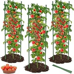 Mymulike 3pack tomato for sale  Delivered anywhere in UK