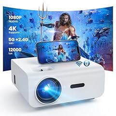 Hopvision proiettore 12000lume usato  Spedito ovunque in Italia 