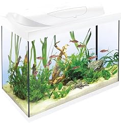 Acquario tetra starter usato  Spedito ovunque in Italia 