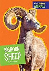 Bighorn sheep for sale  Delivered anywhere in USA 
