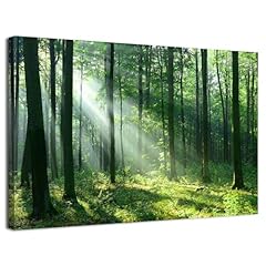Sunrise forest wall for sale  Delivered anywhere in USA 