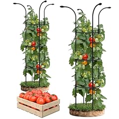 Pack tomato plant for sale  Delivered anywhere in UK