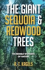Giant sequoia redwood for sale  Delivered anywhere in USA 