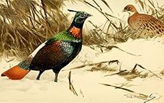 Posterazzi brehms tierleben for sale  Delivered anywhere in USA 