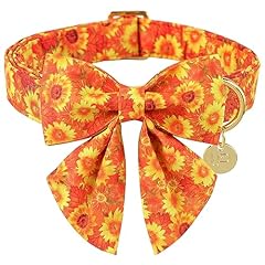 Urara pup fall for sale  Delivered anywhere in USA 