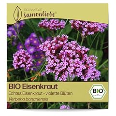 Samenliebe bio eisenkraut gebraucht kaufen  Wird an jeden Ort in Deutschland