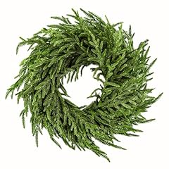 Enven norfolk pine for sale  Delivered anywhere in USA 
