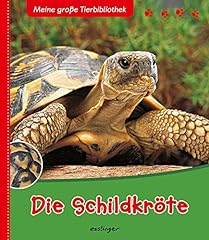 Schildkröte gebraucht kaufen  Wird an jeden Ort in Deutschland