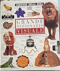Grande dizionario visuale usato  Spedito ovunque in Italia 