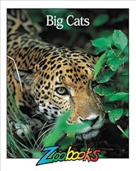 Big cats for sale  Delivered anywhere in USA 