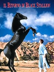Ritorno black stallion usato  Spedito ovunque in Italia 