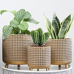 Jhy design set gebraucht kaufen  Wird an jeden Ort in Deutschland