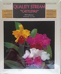 Quality stream cattleyas for sale  Delivered anywhere in UK