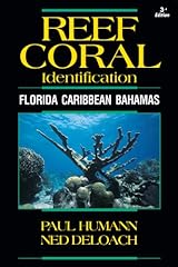 Reef coral identification for sale  Delivered anywhere in USA 