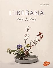 Ikebana d'occasion  Livré partout en Belgiqu