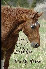 Bashkir curly horse for sale  Delivered anywhere in USA 
