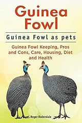 Guinea fowl. guinea for sale  Delivered anywhere in USA 