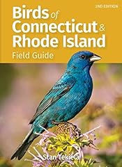 Birds connecticut rhode for sale  Delivered anywhere in USA 