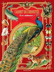 Cabinet curiosites animaux d'occasion  Livré partout en France