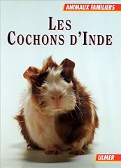 Cochons inde d'occasion  Livré partout en Belgiqu