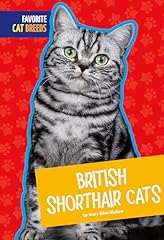 British shorthair cats usato  Spedito ovunque in Italia 