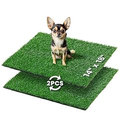 Loobani dog grass for sale  Delivered anywhere in USA 