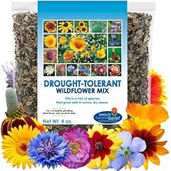 Drought tolerant wildflower for sale  Delivered anywhere in USA 