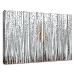White birch forest for sale  Delivered anywhere in USA 