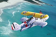 Grumman duck 12x18 for sale  Delivered anywhere in USA 