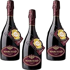 Bottiglie ariola marcello usato  Spedito ovunque in Italia 