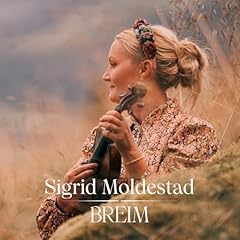 Breim d'occasion  Livré partout en France