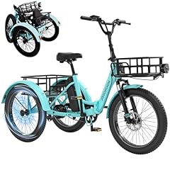 Lilypelle electric trike for sale  Delivered anywhere in USA 