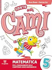 Conto con cami. usato  Spedito ovunque in Italia 