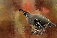 Gambel quail lookout for sale  Delivered anywhere in USA 