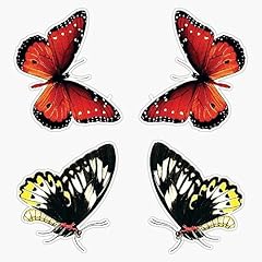 Vintage butterfly illustration for sale  Delivered anywhere in USA 