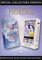 Pigeons dvd for sale  Delivered anywhere in UK