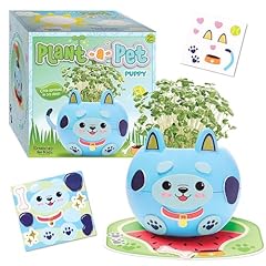 Creativity kids plant for sale  Delivered anywhere in USA 