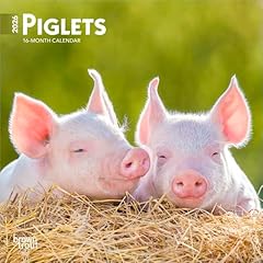 Piglets 2026 inch for sale  Delivered anywhere in USA 
