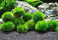 Generic moss balls for sale  Delivered anywhere in USA 