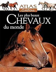 Beaux chevaux d'occasion  Livré partout en France