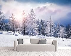Fototapete effekt winter gebraucht kaufen  Wird an jeden Ort in Deutschland