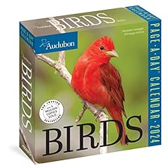 Audubon birds page for sale  Delivered anywhere in UK