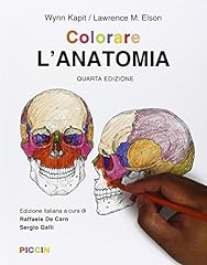 Colorare anatomia usato  Spedito ovunque in Italia 