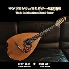 Works for mandoloncello usato  Spedito ovunque in Italia 